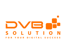 DVB Solution branding poligraphy